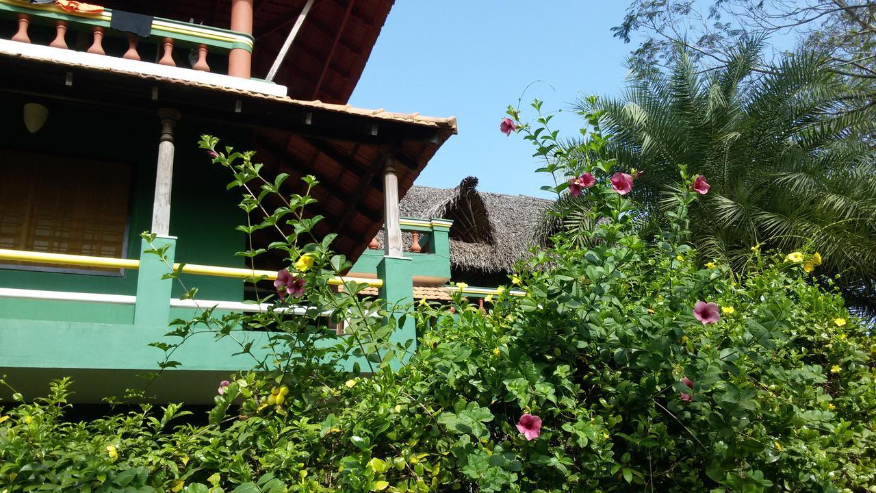 Green'S Guest House Auroville Exteriér fotografie